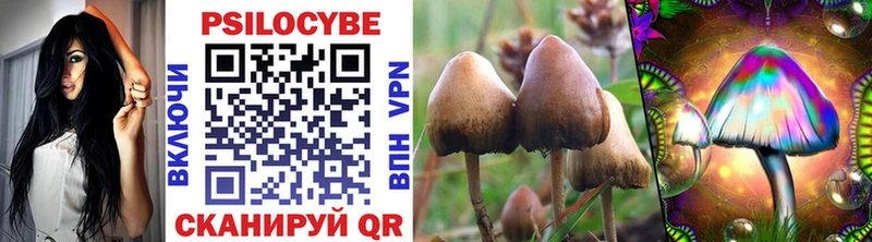 Галлюциногенные грибы Psilocybine cubensis  где продают наркотики  МЕГА онион  Почеп 